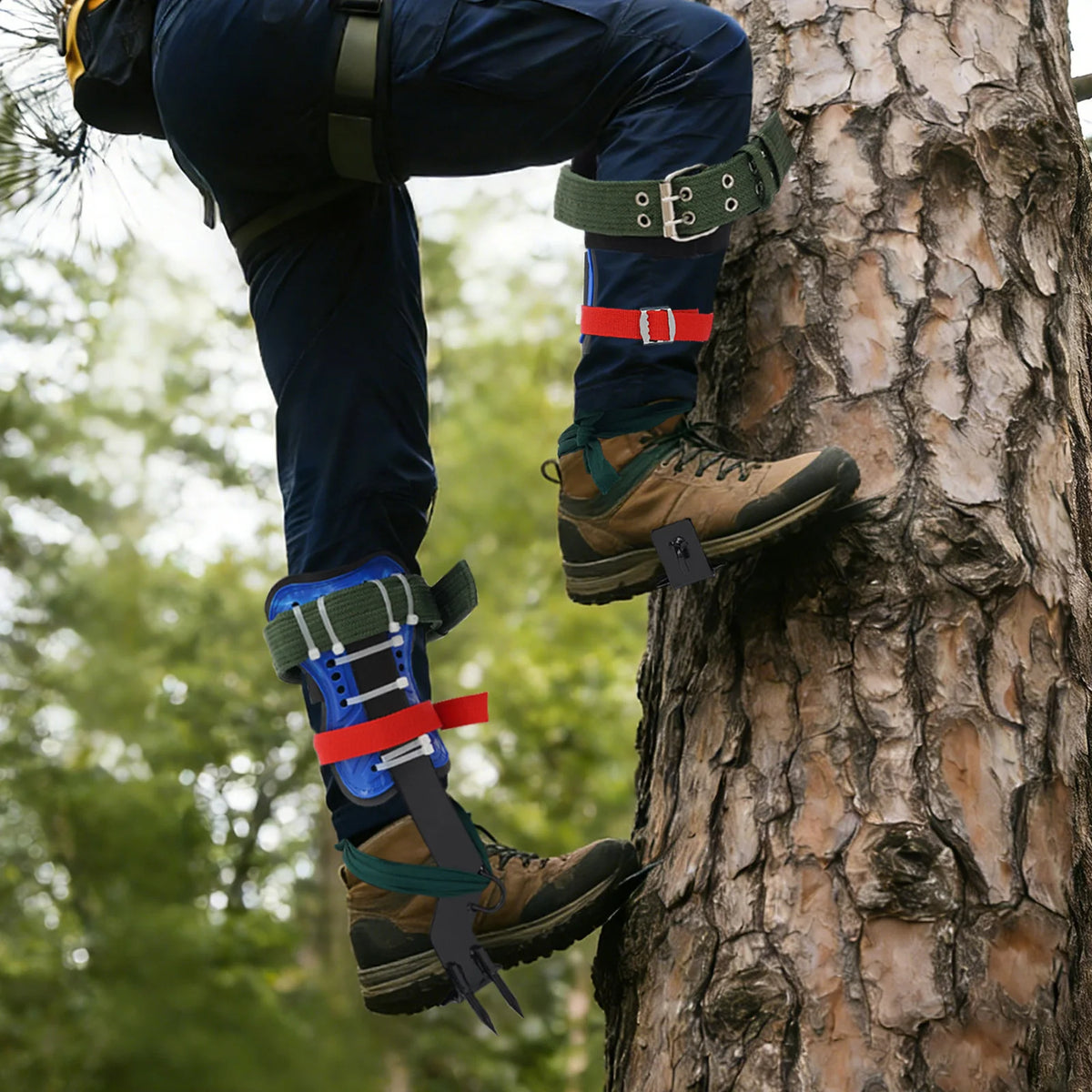 Tree Climbing Tools Set, Heavy Duty Carbon Steel Climbing Spikes with Safety Belt and Rope, Professional Tree Climbing Equipment Kit, Load Capacity 220lbs, Adjustable Foot and Ankle Straps, for Arborist Hunting Fruit Picking